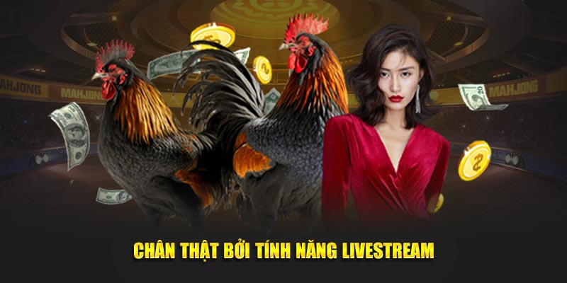 Chan-that-boi-tinh-nang-livestream