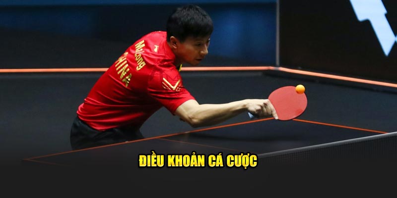 dièu-khoản-cá-cuọc