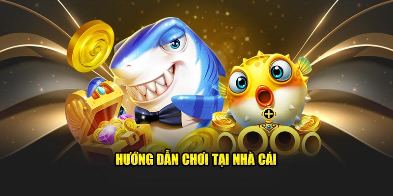 huong-dan-choi-tai-nha-cai