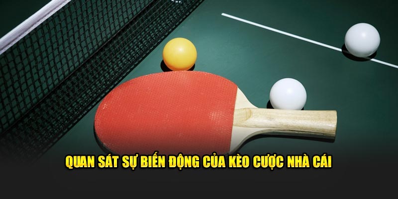 quan-sat-su-bien-dong-cua-keo-cuoc-nha-cai