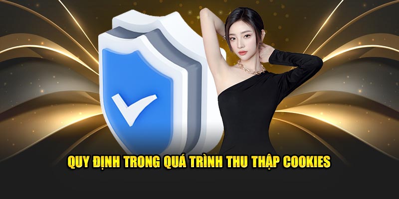 quy-dinh-trong-qua-trinh-thu-thap-cookies